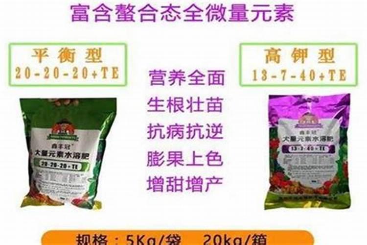 西葫芦怎么施肥