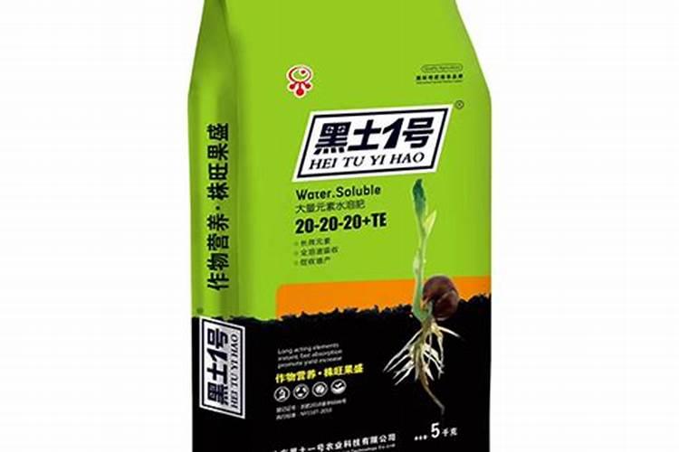 蔷薇花叶子发黄怎么办