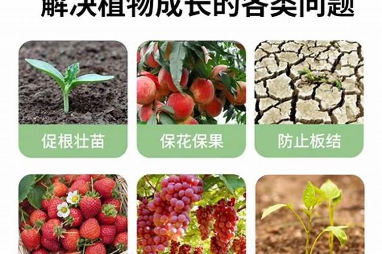 桃树到了硬核期不用复合肥,用硫酸钾和什么肥料？