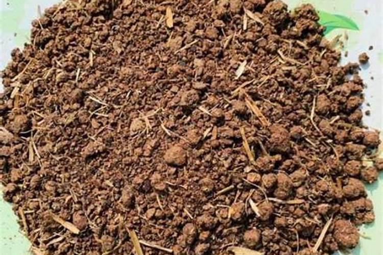 茶枯饼做肥料的使用方法