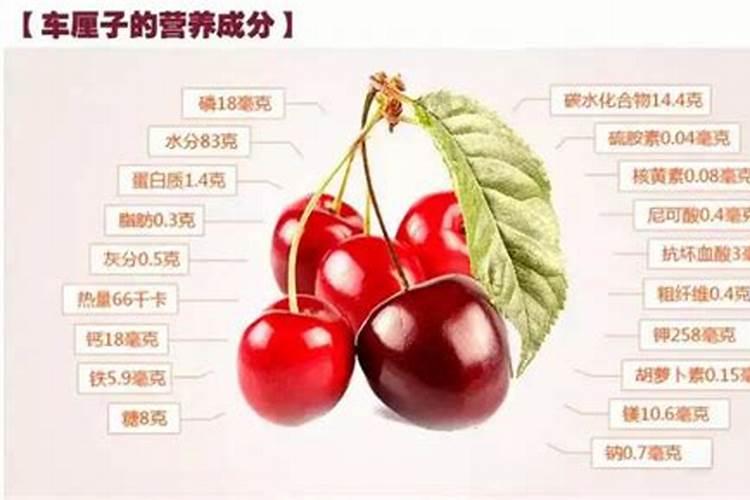 车厘子树9一10月份施哪种肥料