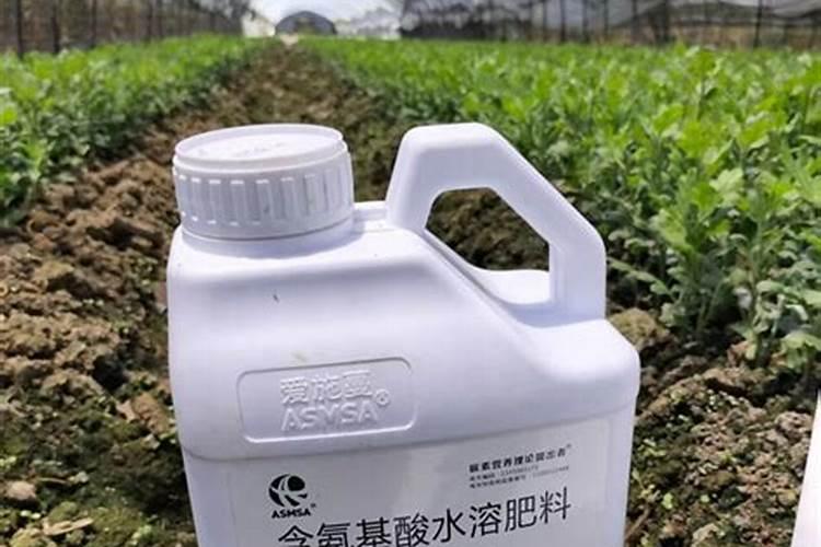 针状肥在提高作物抗寒性方面的作用是什么？