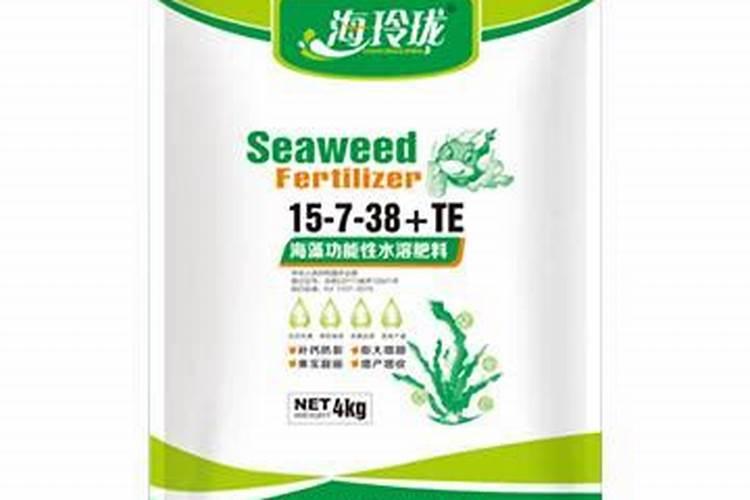 韭菜施什么肥长得又快又壮