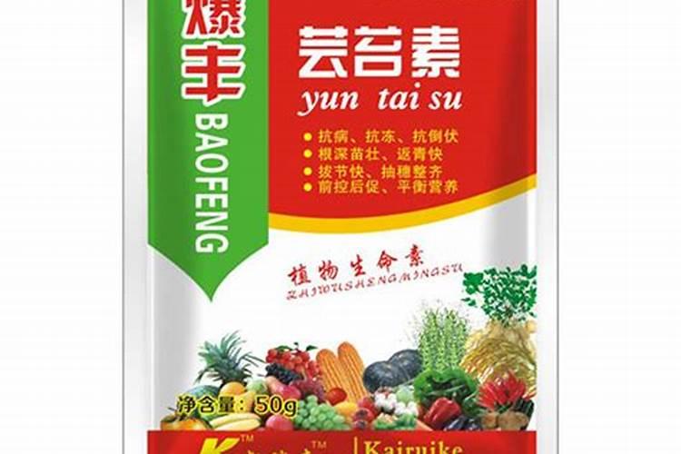 甜瓜果肉腐烂的原因及防治方法甜瓜的种植方法