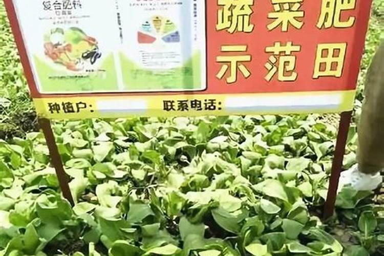 一亩油菜用多少复合肥 一亩油菜需要用多少复合肥