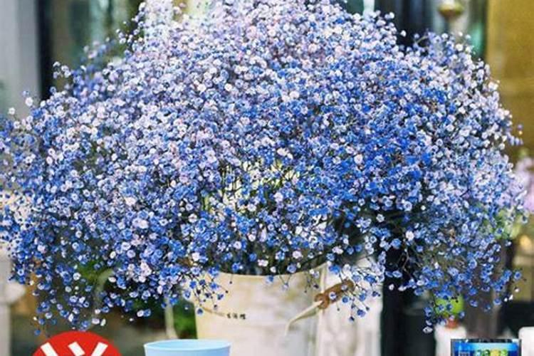 黄花菜开花期想要施肥,应该怎么施肥呢？