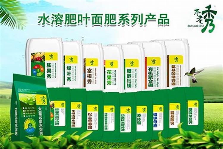 白术的苗期管理技术