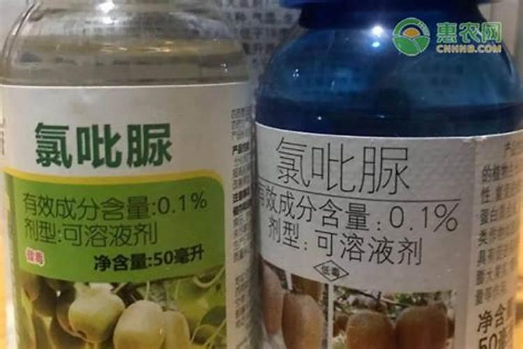 橘子树用什么肥好