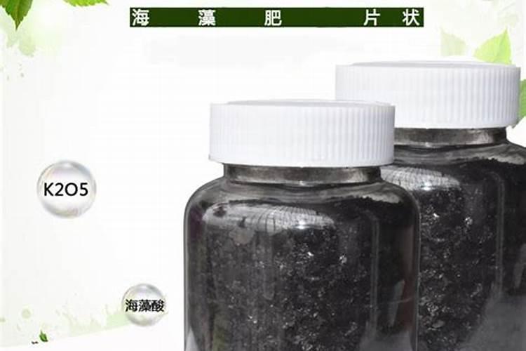水溶肥知名品牌有哪些？