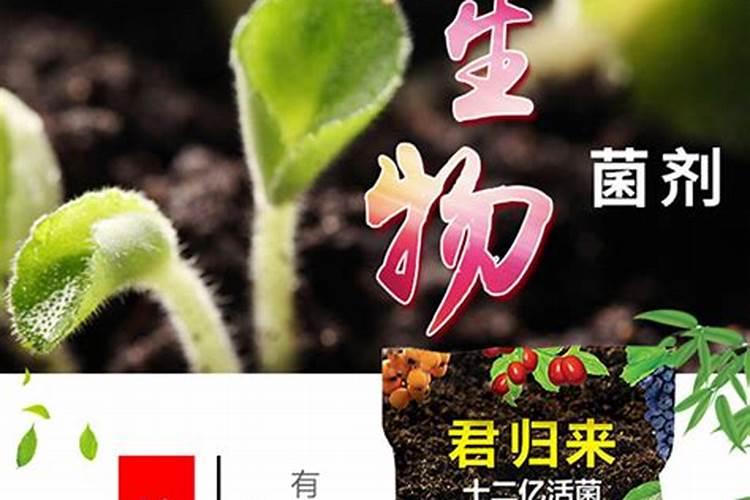 菜豌豆什么时候施钾肥肥