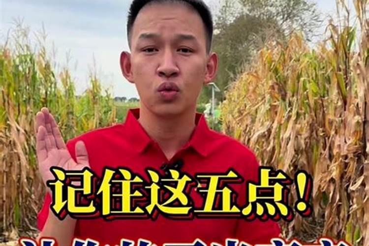 在养花时如何使用磷肥