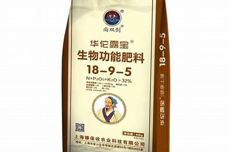 袖珍椰子浇什么肥料合适