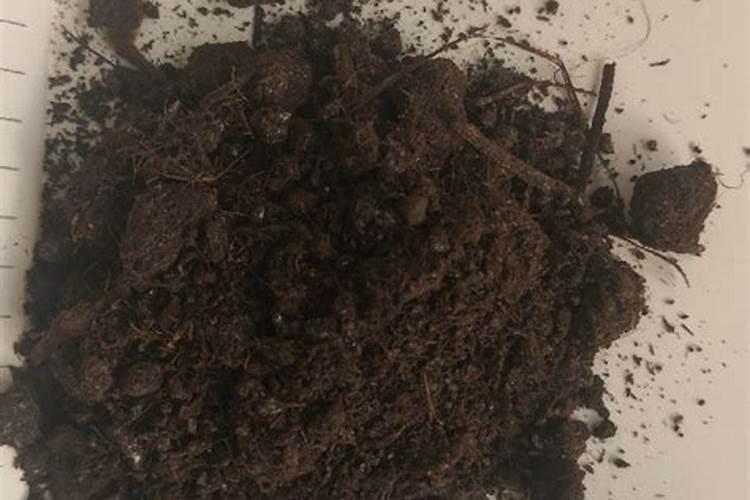 肥料是什么做的