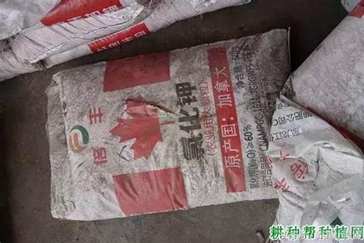 钾肥和硼肥哪个膨大块根效果明显