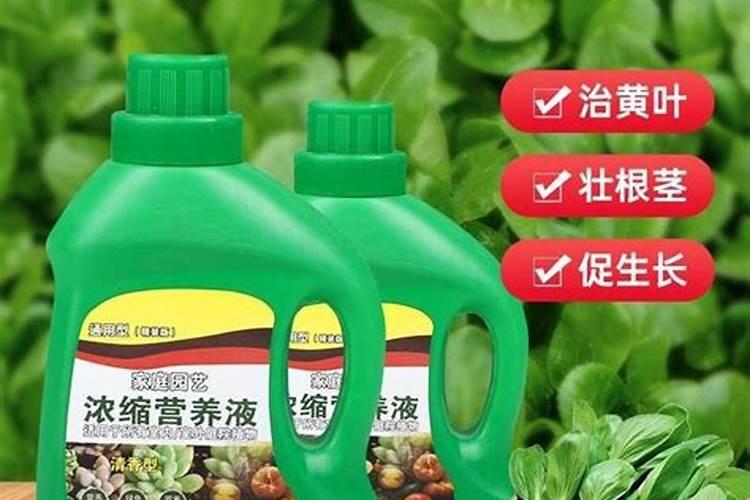 山东有实力的肥料公司有哪些？