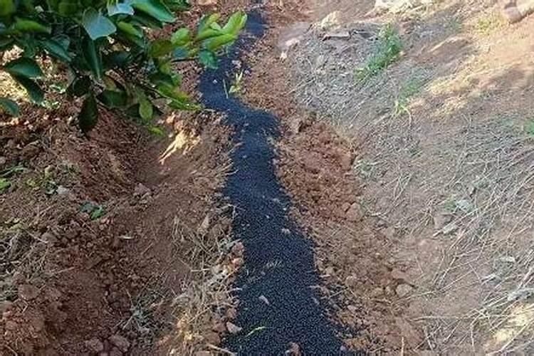 土里放了肥料几天可以种菜 肥料有哪些种类