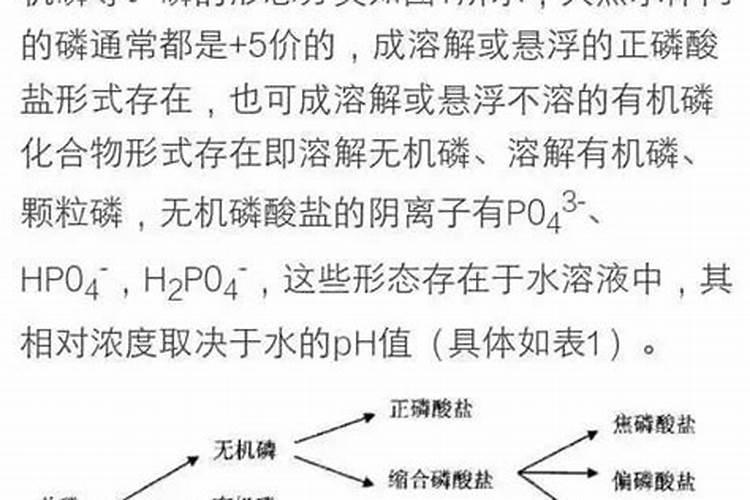 草莓膨果期,哪些营养是不能缺的？
