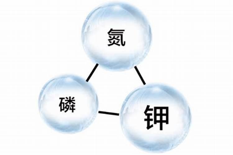 氮磷钾肥分别有什么作用 有哪些功效