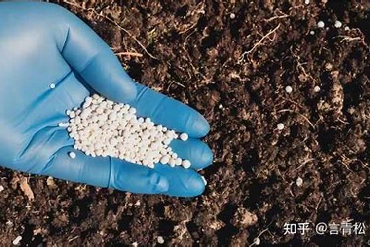 红薯叶可以做颗粒饲料吗？