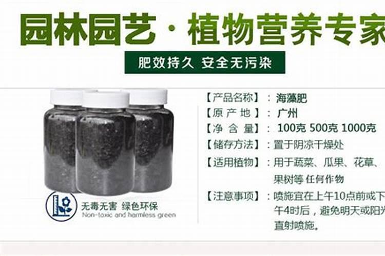 中国最好的海藻肥企业