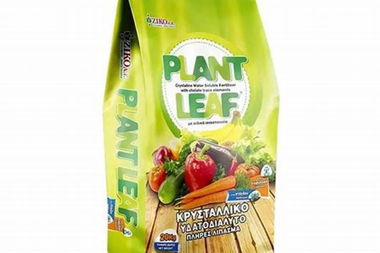 水溶性的是什么意思？