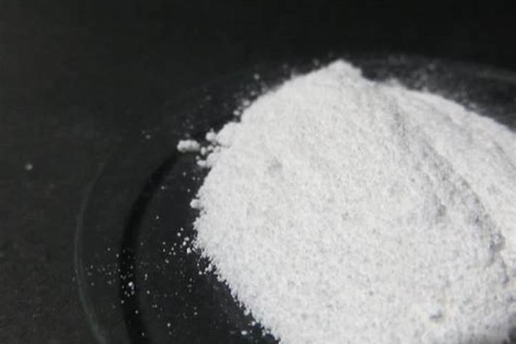 一叶莲适合放在家里养吗,一叶莲盆栽好养吗？