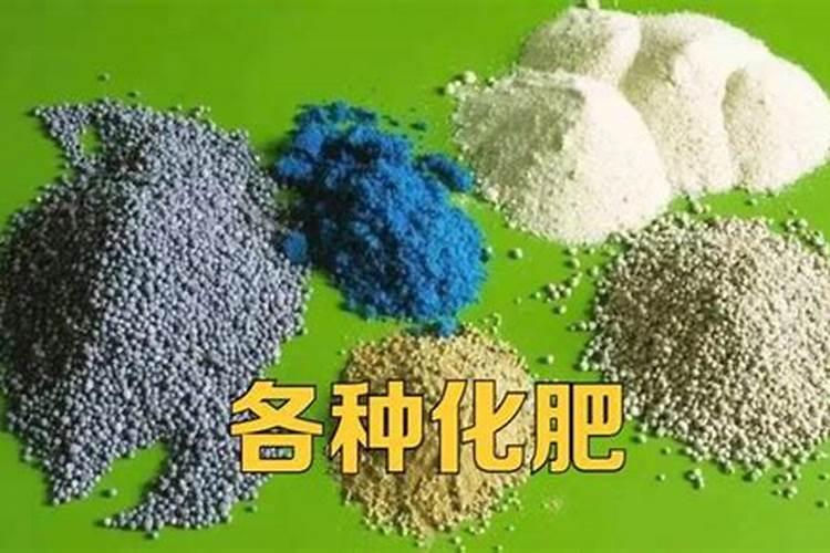 有机肥和无机肥的区别