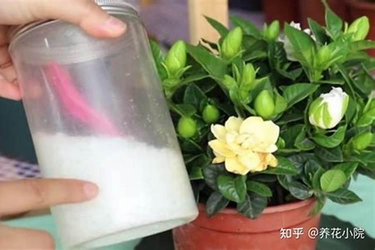 尿素能做水溶肥吗