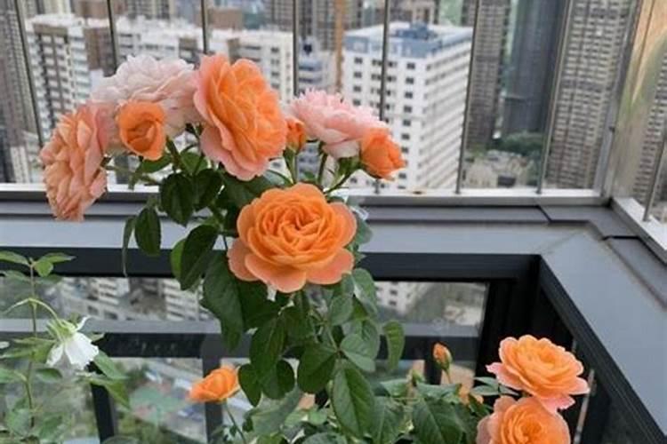 24点有什么区别？