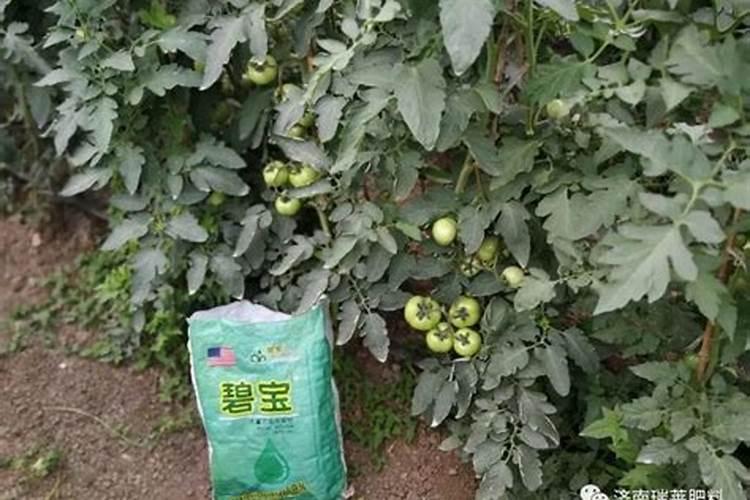 水溶肥ph值是多少合适