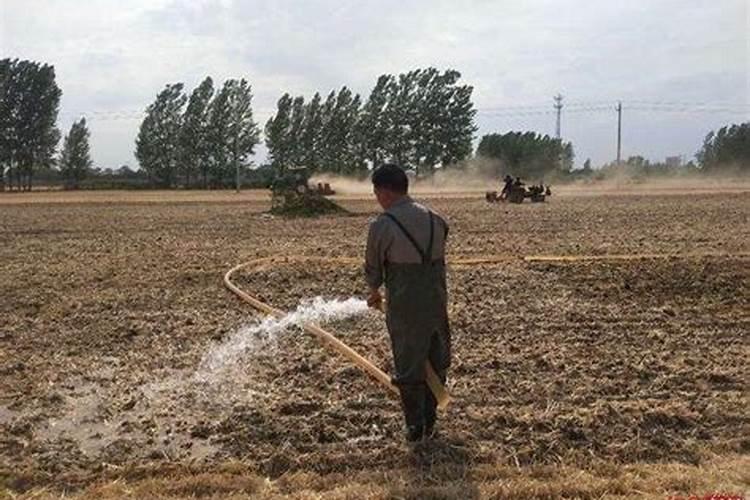 种地先播种还是先施肥