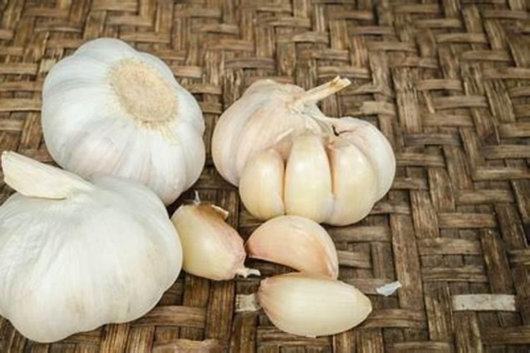 花草黄叶烂根？怎么做叶子油绿砰砰开花呢？