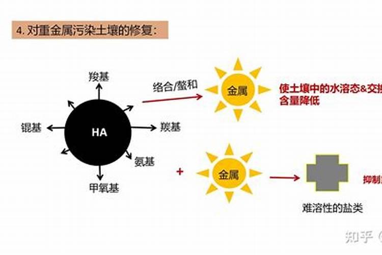 含腐植酸水溶肥料有什么功能和普通水溶肥有区别吗？