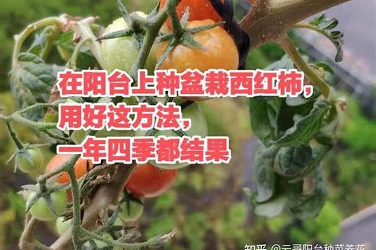 韩国恐怖电影《解剖学教室》具体是什么意思？