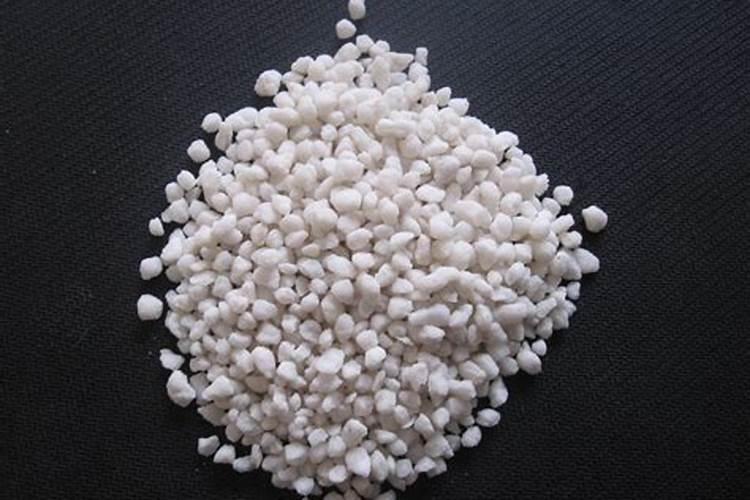 樱花树多久施肥 适合樱花树的施肥时机是什么？