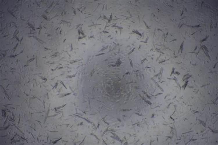 棉花种植的自然条件