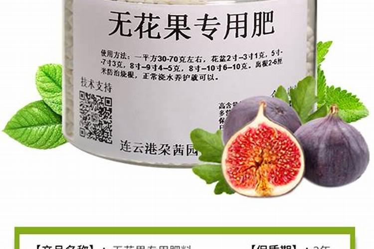 无花果施肥的正确方法