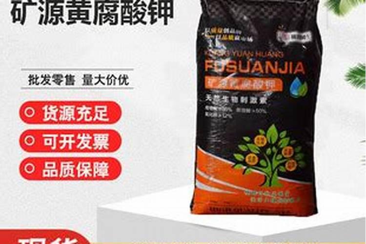 生菜如何浇水和施肥？昆仑风均衡营养促增收