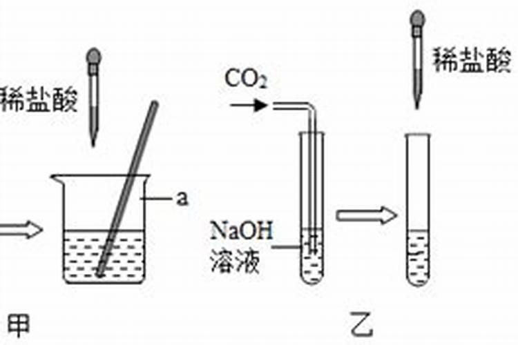 芹菜第一次施肥什么时候 施肥技术要点