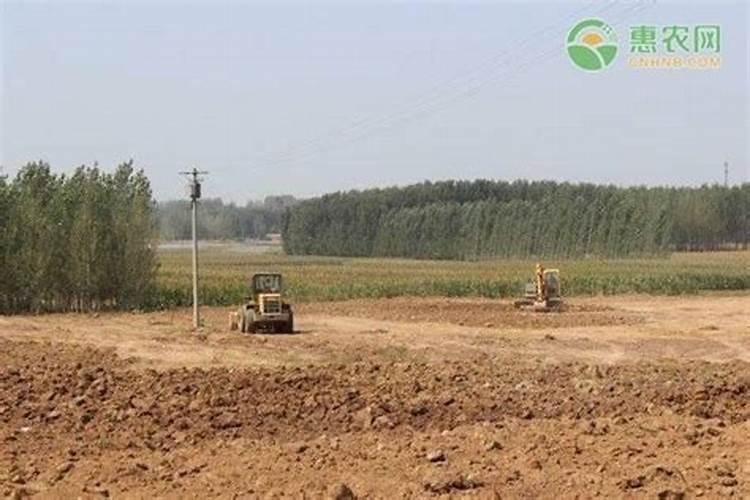 高钾水溶肥什么时候用,在地里几小时见效