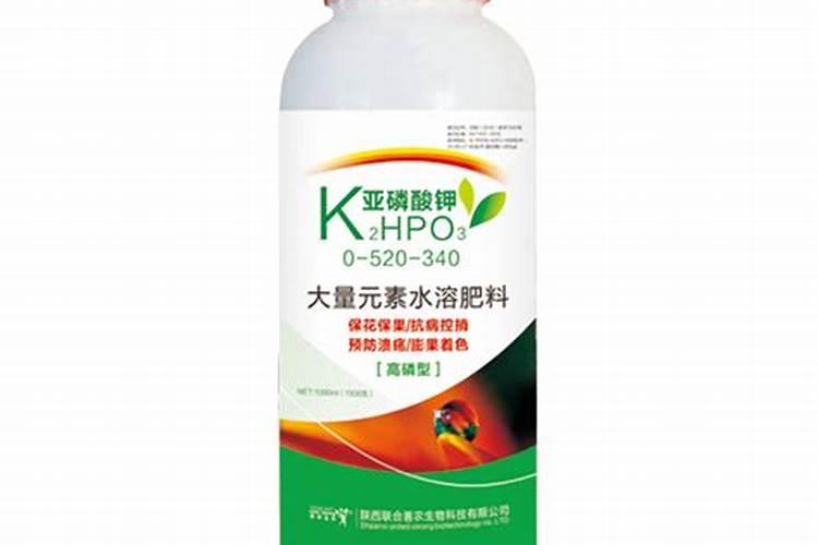 贡柑种植到挂果要多少年