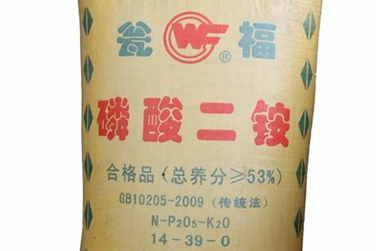 贡柑最晚什么时候放秋肖