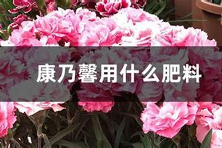 蔬菜缺钙怎么办 蔬菜怎么施肥