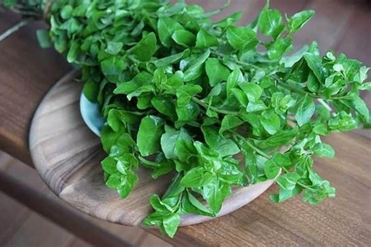 温室大棚辣椒做底肥一亩地用多少钙肥