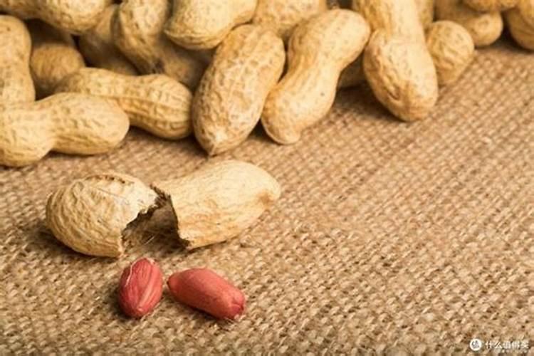 糖醇钙的最佳搭配