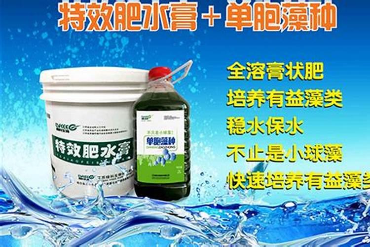 什么是喷浆造粒有机肥