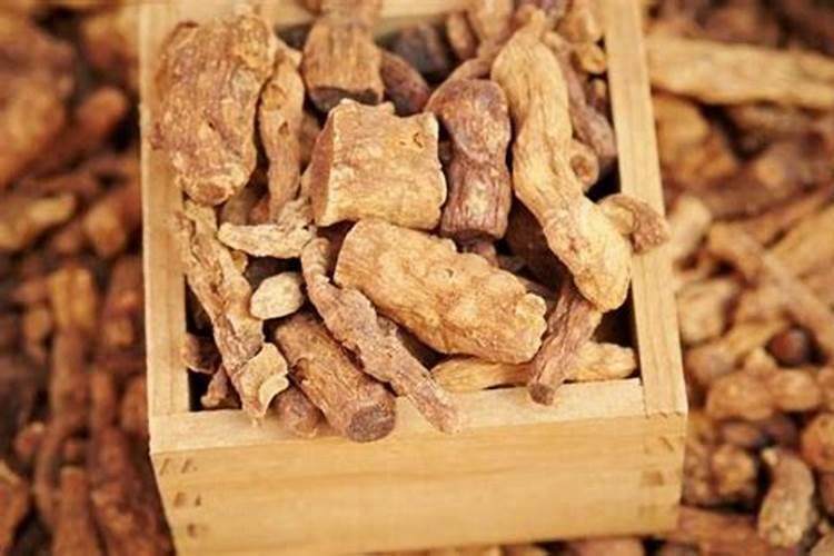 中药材植物白术的田间管理要点