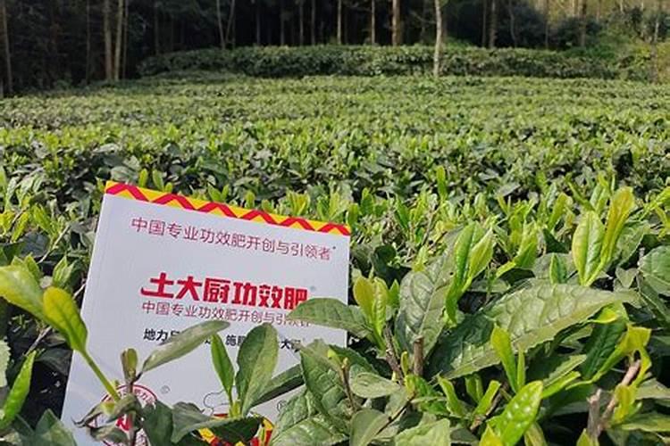 葡萄树用什么肥料好