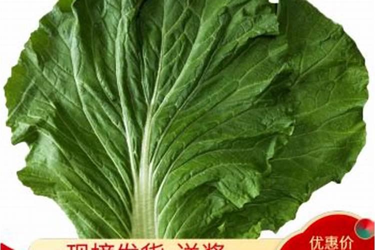 八月份能栽活花椒树吗 几月移栽最好