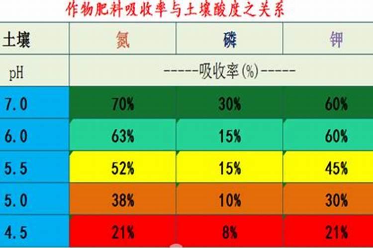 芸苔素使用技巧